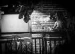 Black-and-white photograph of a woman with long braids standing near a brick wall at night.